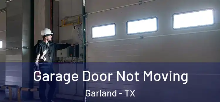  Garage Door Not Moving Garland - TX