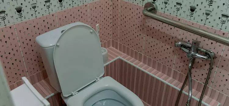 Meeting Diverse Needs With Accessible Restroom Solutions in Garland, TX