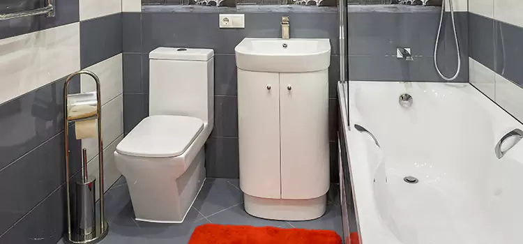 Hansgrohe Shaving Mirror Garland